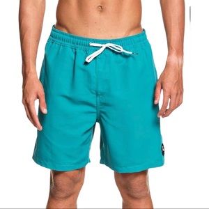 Quiksilver Shorts Board shorts Men Size L